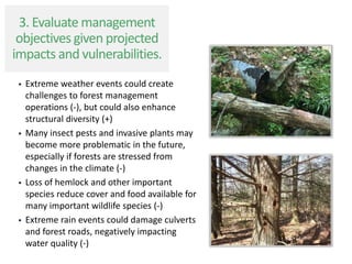  Extreme weather events could create
challenges to forest management
operations (-), but could also enhance
structural diversity (+)
 Many insect pests and invasive plants may
become more problematic in the future,
especially if forests are stressed from
changes in the climate (-)
 Loss of hemlock and other important
species reduce cover and food available for
many important wildlife species (-)
 Extreme rain events could damage culverts
and forest roads, negatively impacting
water quality (-)
3. Evaluate management
objectives given projected
impacts and vulnerabilities.
 