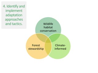 Wildlife
habitat
conservation
Climate-
informed
Forest
stewardship
4. Identify and
implement
adaptation
approaches
and tactics.
 