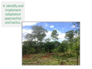 4. Identify and
implement
adaptation
approaches
and tactics.
 