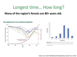 Many of the region’s forests are 80+ years old.
Longest time… How long?
Foster et al. 2017 (Wildlands & Woodlands), Butler et al. 2015
 