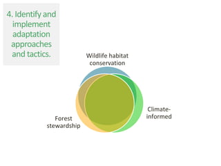 Wildlife habitat
conservation
Climate-
informedForest
stewardship
4. Identify and
implement
adaptation
approaches
and tactics.
 