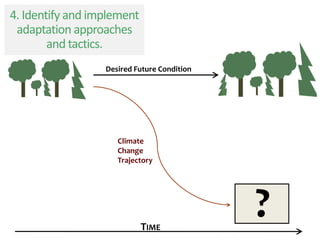 4. Identify and implement
adaptation approaches
and tactics.
Desired Future Condition
TIME
Climate
Change
Trajectory
?
 