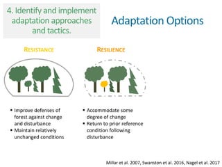 RESISTANCE RESILIENCE
 Improve defenses of
forest against change
and disturbance
 Maintain relatively
unchanged conditions
 Accommodate some
degree of change
 Return to prior reference
condition following
disturbance
Millar et al. 2007Millar et al. 2007, Swanston et al. 2016, Nagel et al. 2017
Adaptation Options
4. Identify and implement
adaptation approaches
and tactics.
 