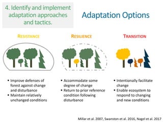 RESISTANCE RESILIENCE TRANSITION
 Improve defenses of
forest against change
and disturbance
 Maintain relatively
unchanged conditions
 Accommodate some
degree of change
 Return to prior reference
condition following
disturbance
 Intentionally facilitate
change
 Enable ecosystem to
respond to changing
and new conditions
Millar et al. 2007Millar et al. 2007, Swanston et al. 2016, Nagel et al. 2017
Adaptation Options
4. Identify and implement
adaptation approaches
and tactics.
 