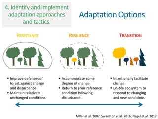 RESISTANCE RESILIENCE TRANSITION
 Improve defenses of
forest against change
and disturbance
 Maintain relatively
unchanged conditions
 Accommodate some
degree of change
 Return to prior reference
condition following
disturbance
 Intentionally facilitate
change
 Enable ecosystem to
respond to changing
and new conditions
Millar et al. 2007Millar et al. 2007, Swanston et al. 2016, Nagel et al. 2017
Adaptation Options
4. Identify and implement
adaptation approaches
and tactics.
 