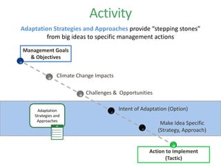 Activity
Adaptation Strategies and Approaches provide “stepping stones”
from big ideas to specific management actions
Management Goals
& Objectives
Climate Change Impacts
Intent of Adaptation (Option)
Make Idea Specific
(Strategy, Approach)
Action to Implement
(Tactic)
Challenges & Opportunities
Adaptation
Strategies and
Approaches
 