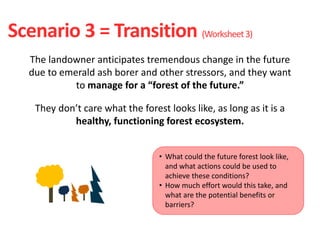 Scenario 3 = Transition (Worksheet3)
The landowner anticipates tremendous change in the future
due to emerald ash borer and other stressors, and they want
to manage for a “forest of the future.”
They don’t care what the forest looks like, as long as it is a
healthy, functioning forest ecosystem.
• What could the future forest look like,
and what actions could be used to
achieve these conditions?
• How much effort would this take, and
what are the potential benefits or
barriers?
 