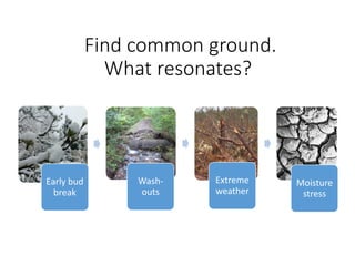 Find common ground.
What resonates?
Early bud
break
Wash-
outs
Extreme
weather
Moisture
stress
 