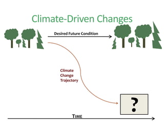 Desired Future Condition
TIME
Climate
Change
Trajectory
?
Climate-Driven Changes
 
