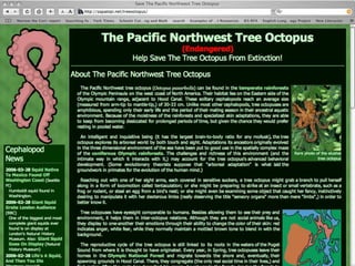 Valid And Reliable Assessments of Online Reading Comprehension (ORCAs) (Castek, 2008; Coiro, 2007; Henry, 2007; Leu et al., 2005; Leu, Reinking, et. al, 2007).Issues:  Practicality and Stability
