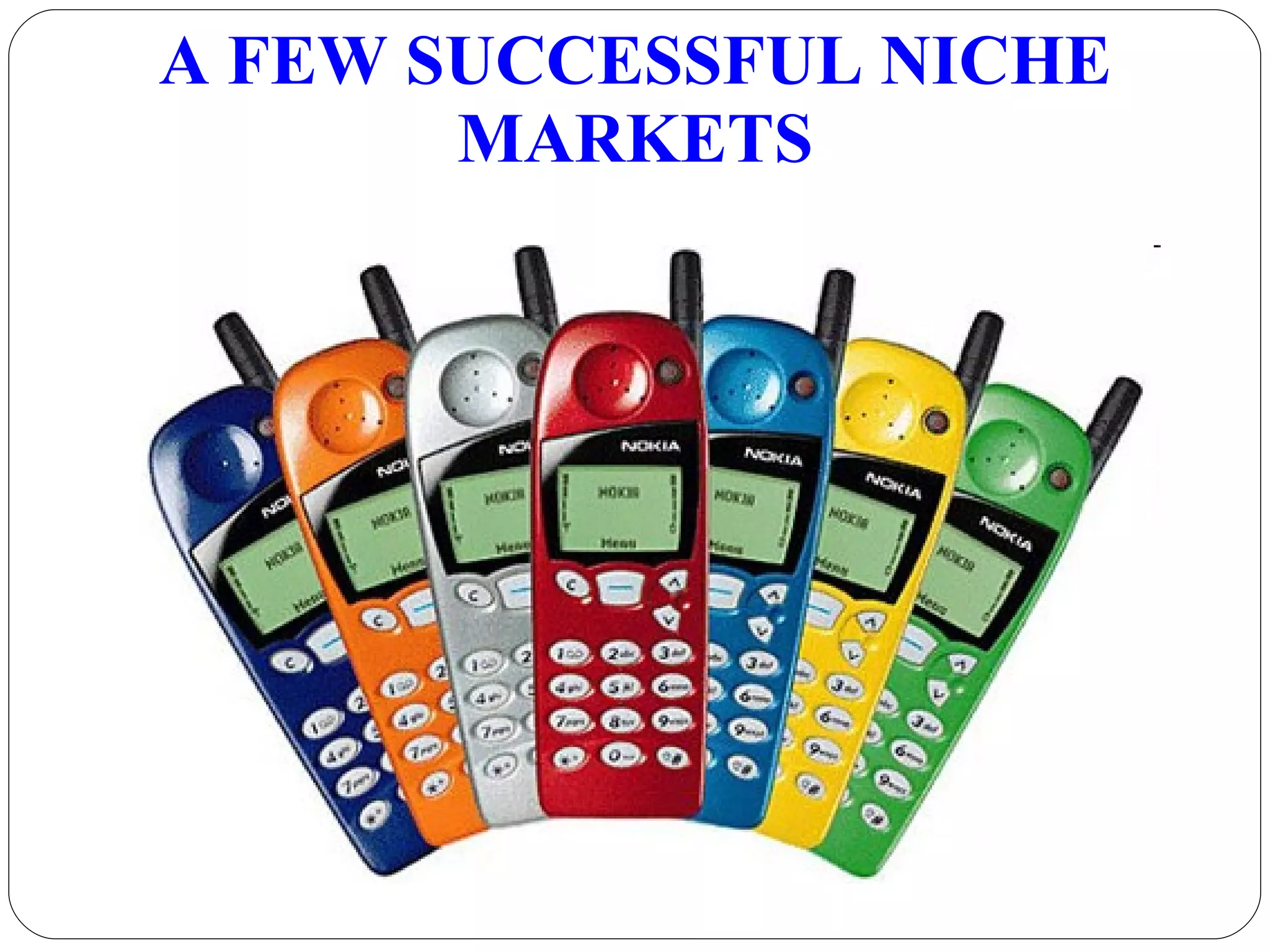 A FEW SUCCESSFUL NICHE MARKETS 