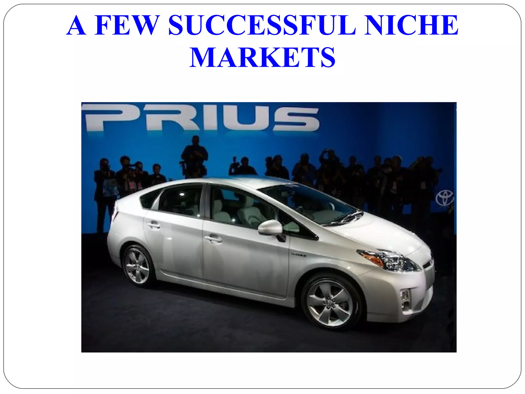 A FEW SUCCESSFUL NICHE MARKETS 