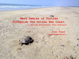 Mass Demise of Turtles
Alongside the Orissa Sea Coast,
        A reluctant Environmental State Governance



                                 Kumar Deepak
                            (Environmentalist)
 