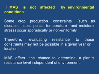 MAS is not affected by environmental
conditions
Some crop production constraints (such as
disease, insect pests, temperature and moisture
stress) occur sporadically or non-uniformly.
Therefore, evaluating resistance to those
constraints may not be possible in a given year or
location.
MAS offers the chance to determine a plant’s
resistance level independent of environment.
 