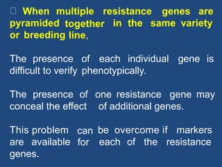 When multiple resistance genes are
pyramided together
line,
in the same variety
or breeding
The presence of each individual gene is
difficult to verify phenotypically.
The presence of one resistance gene may
conceal the effect of additional genes.
This problem can
for
be overcome if markers
are available each of the resistance
genes.
 