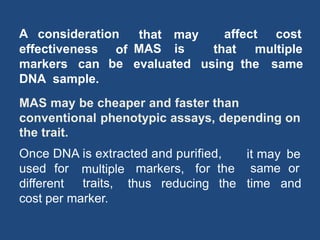 A consideration that
MAS
may
is
affect cost
effectiveness of
be
that multiple
markers can evaluated using the same
DNA sample.
Once DNA is extracted and purified, it may
same
be
orused for multiple
traits,
markers, for the
different thus reducing the time and
cost per marker.
MAS may be cheaper and faster than
conventional phenotypic assays, depending on
the trait.
 