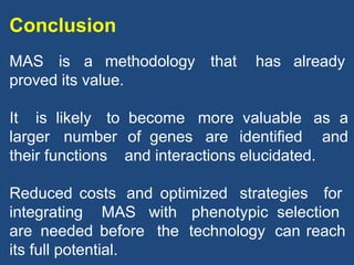 Conclusion
MAS is a methodology that has already
proved its value.
It is likely to become more valuable as a
larger number of genes are identified and
their functions and interactions elucidated.
Reduced costs and optimized strategies for
integrating MAS with phenotypic selection
are needed before the technology can reach
its full potential.
 