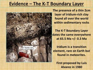 Evidence – The K-T Boundary Layer
The presence of a thin 2cm
layer of iridium-rich clay
found all over the world
within sedimentary rocks
The K-T Boundary Layer
dates the same everywhere
at 65.5 Ma +/- 0.3 Ma
Iridium is a transition
element, rare on Earth but
found in meteorites.
First proposed by Luis
Alvarez in 1980
 