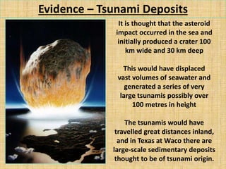 Evidence – Tsunami Deposits
It is thought that the asteroid
impact occurred in the sea and
initially produced a crater 100
km wide and 30 km deep
This would have displaced
vast volumes of seawater and
generated a series of very
large tsunamis possibly over
100 metres in height
The tsunamis would have
travelled great distances inland,
and in Texas at Waco there are
large-scale sedimentary deposits
thought to be of tsunami origin.
 