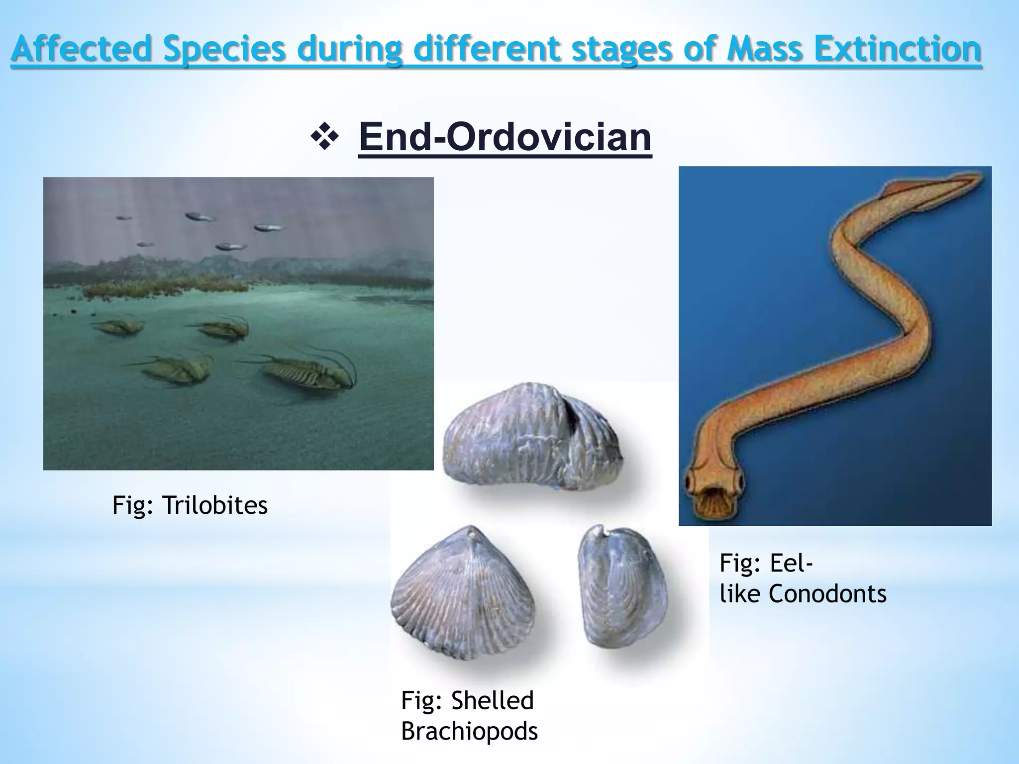 Mass extinction | PPTX