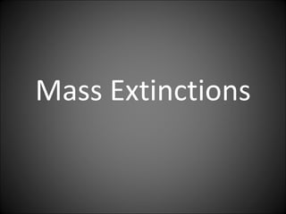 Mass Extinctions 