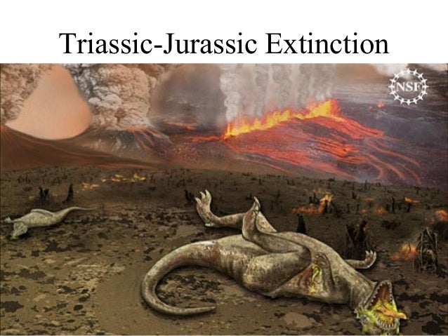 How Were Species Affected By The Break Up Of Pangaea? Mass Extinctions