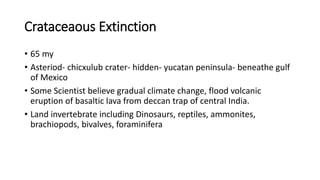 Crataceaous Extinction
• 65 my
• Asteriod- chicxulub crater- hidden- yucatan peninsula- beneathe gulf
of Mexico
• Some Scientist believe gradual climate change, flood volcanic
eruption of basaltic lava from deccan trap of central India.
• Land invertebrate including Dinosaurs, reptiles, ammonites,
brachiopods, bivalves, foraminifera
 
