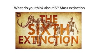 What do you think about 6th Mass extinction
 