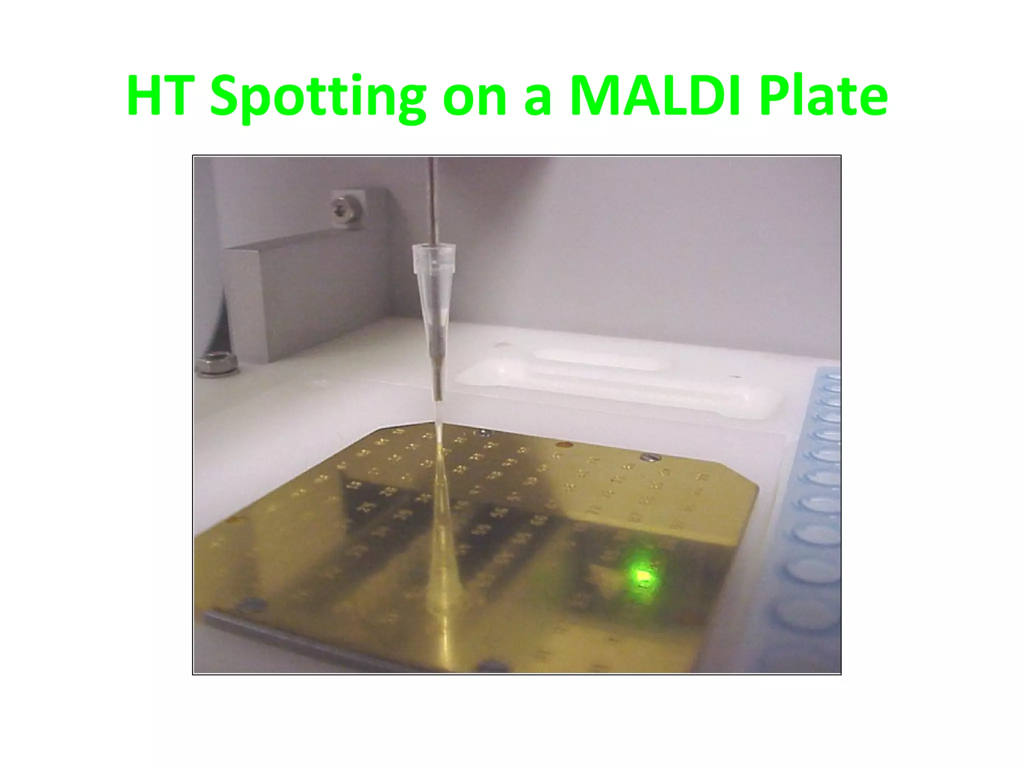 HT Spotting on a MALDI Plate
 