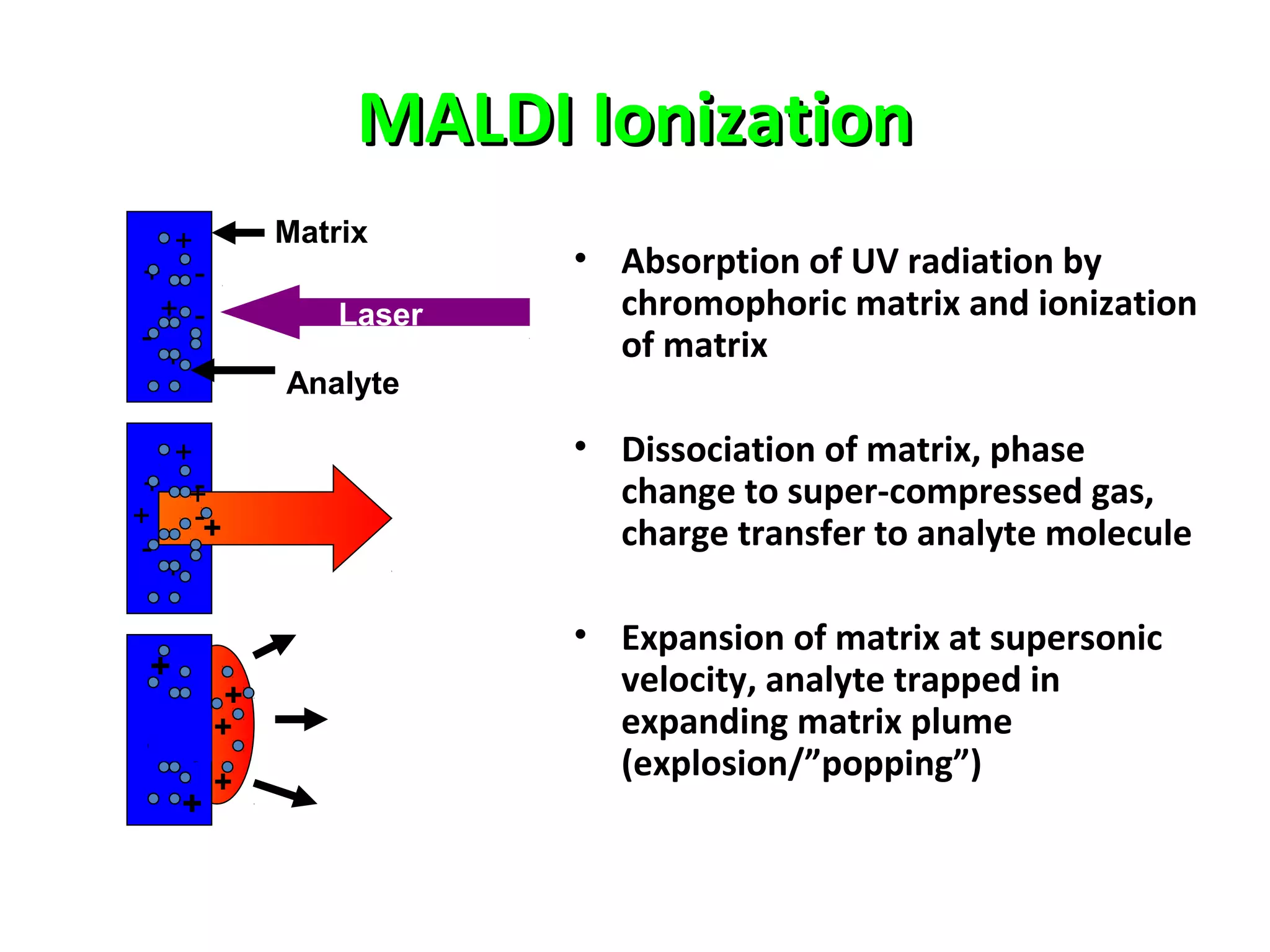 MALDI IonizationMALDI Ionization
+
+
+
+
-
-
-
+
+
+
+
-
-
--+
+
Analyte
Matrix
Laser
+
+
+
• Absorption of UV radiation by
chromophoric matrix and ionization
of matrix
• Dissociation of matrix, phase
change to super-compressed gas,
charge transfer to analyte molecule
• Expansion of matrix at supersonic
velocity, analyte trapped in
expanding matrix plume
(explosion/”popping”)
+
+
+
 