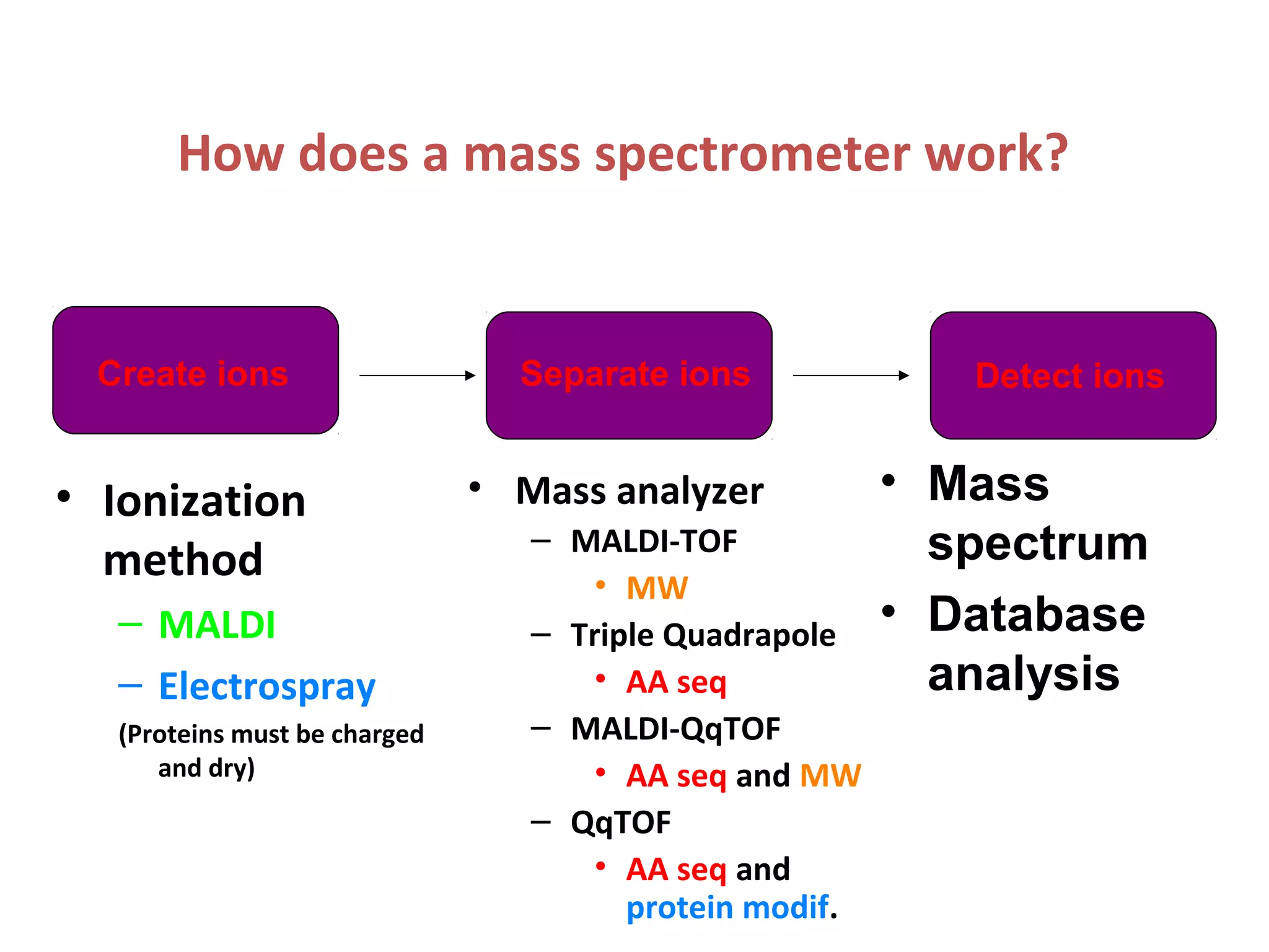 How does a mass spectrometer work?
• Ionization
method
– MALDI
– Electrospray
(Proteins must be charged
and dry)
• Mass analyzer
– MALDI-TOF
• MW
– Triple Quadrapole
• AA seq
– MALDI-QqTOF
• AA seq and MW
– QqTOF
• AA seq and
protein modif.
Create ions Separate ions Detect ions
• Mass
spectrum
• Database
analysis
 