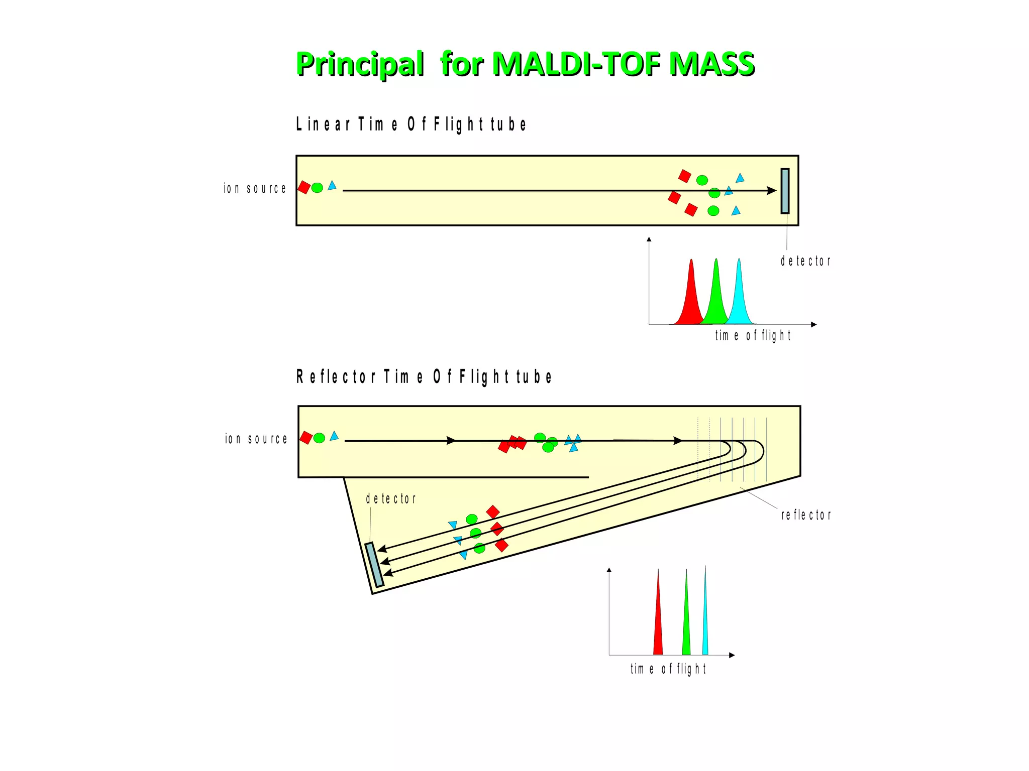 Principal for MALDI-TOF MASSPrincipal for MALDI-TOF MASS
L in e a r T i m e O f F li g h t t u b e
R e f le c t o r T im e O f F l ig h t t u b e
d e t e c t o r
r e f le c t o r
io n s o u r c e
io n s o u r c e
d e t e c t o r
t im e o f flig h t
t im e o f flig h t
 