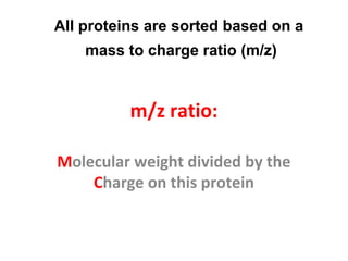 m/z ratio:
Molecular weight divided by the
Charge on this protein
All proteins are sorted based on a
mass to charge ratio (m/z)
 