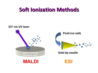 Soft Ionization MethodsSoft Ionization Methods
337 nm UV laser
MALDI
cyano-hydroxy
cinnamic acid
Gold tip needle
Fluid (no salt)
ESI
+
_
 