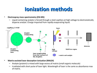 Ionization methodsIonization methods
• Electrospray mass spectrometry (ESI-MS)
– Liquid containing analyte is forced through a steel capillary at high voltage to electrostatically
disperse analyte. Charge imparted from rapidly evaporating liquid.
• Matrix-assisted laser desorption ionization (MALDI)
– Analyte (protein) is mixed with large excess of matrix (small organic molecule)
– Irradiated with short pulse of laser light. Wavelength of laser is the same as absorbance max
of matrix.
 