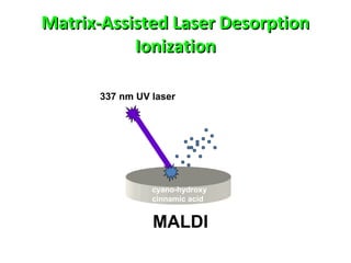 Matrix-Assisted Laser DesorptionMatrix-Assisted Laser Desorption
IonizationIonization
337 nm UV laser
MALDI
cyano-hydroxy
cinnamic acid
 
