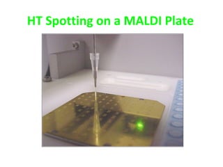 HT Spotting on a MALDI Plate
 