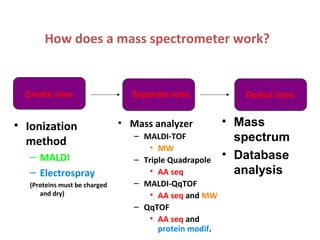 How does a mass spectrometer work?
• Ionization
method
– MALDI
– Electrospray
(Proteins must be charged
and dry)
• Mass analyzer
– MALDI-TOF
• MW
– Triple Quadrapole
• AA seq
– MALDI-QqTOF
• AA seq and MW
– QqTOF
• AA seq and
protein modif.
Create ions Separate ions Detect ions
• Mass
spectrum
• Database
analysis
 