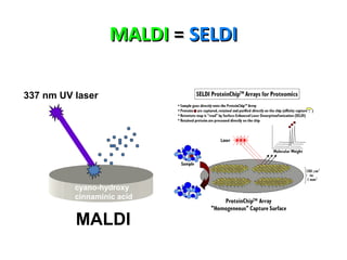 MALDIMALDI == SELDISELDI
337 nm UV laser
MALDI
cyano-hydroxy
cinnaminic acid
 