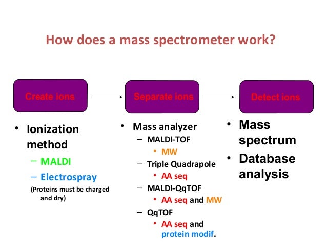 mass spectrometry how does a mass spectrometer work