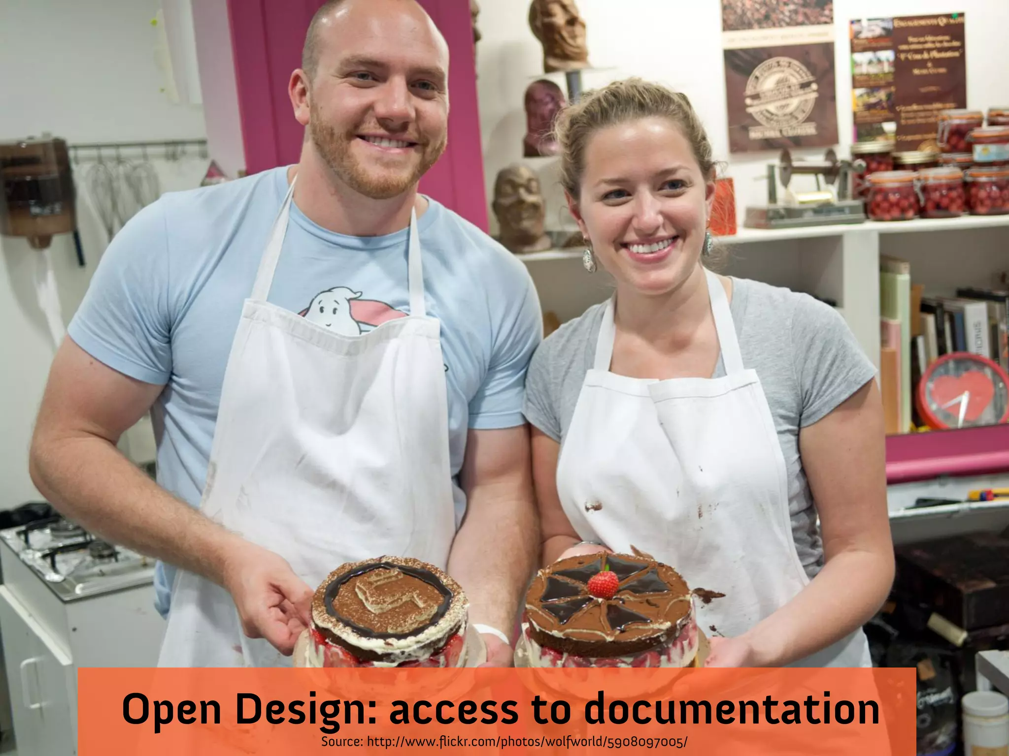 Source: http://www.flickr.com/photos/wolfworld/5908097005/
Open Design: access to documentation