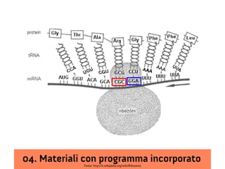 04. Materiali con programma incorporato
             Fonte: http://it.wikipedia.org/wiki/Ribosoma
 