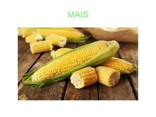 MAIS
 
