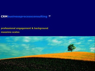 CRM businessprocessconsulting professional engagement & background massimo scalzo 