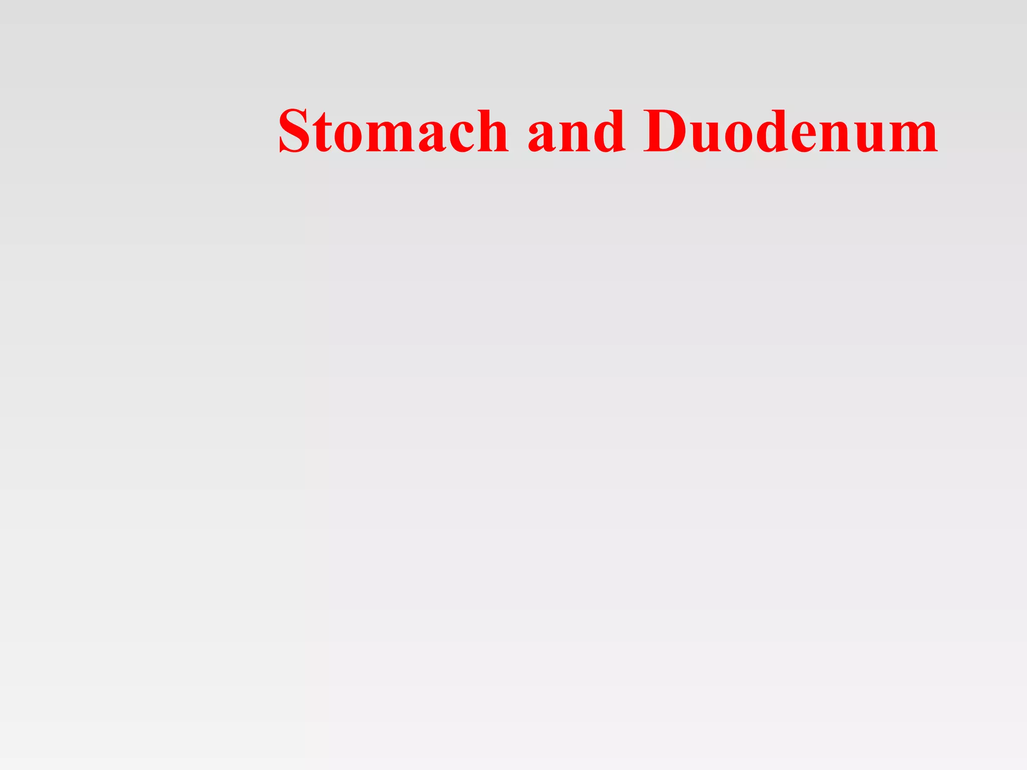 Stomach and Duodenum
 
