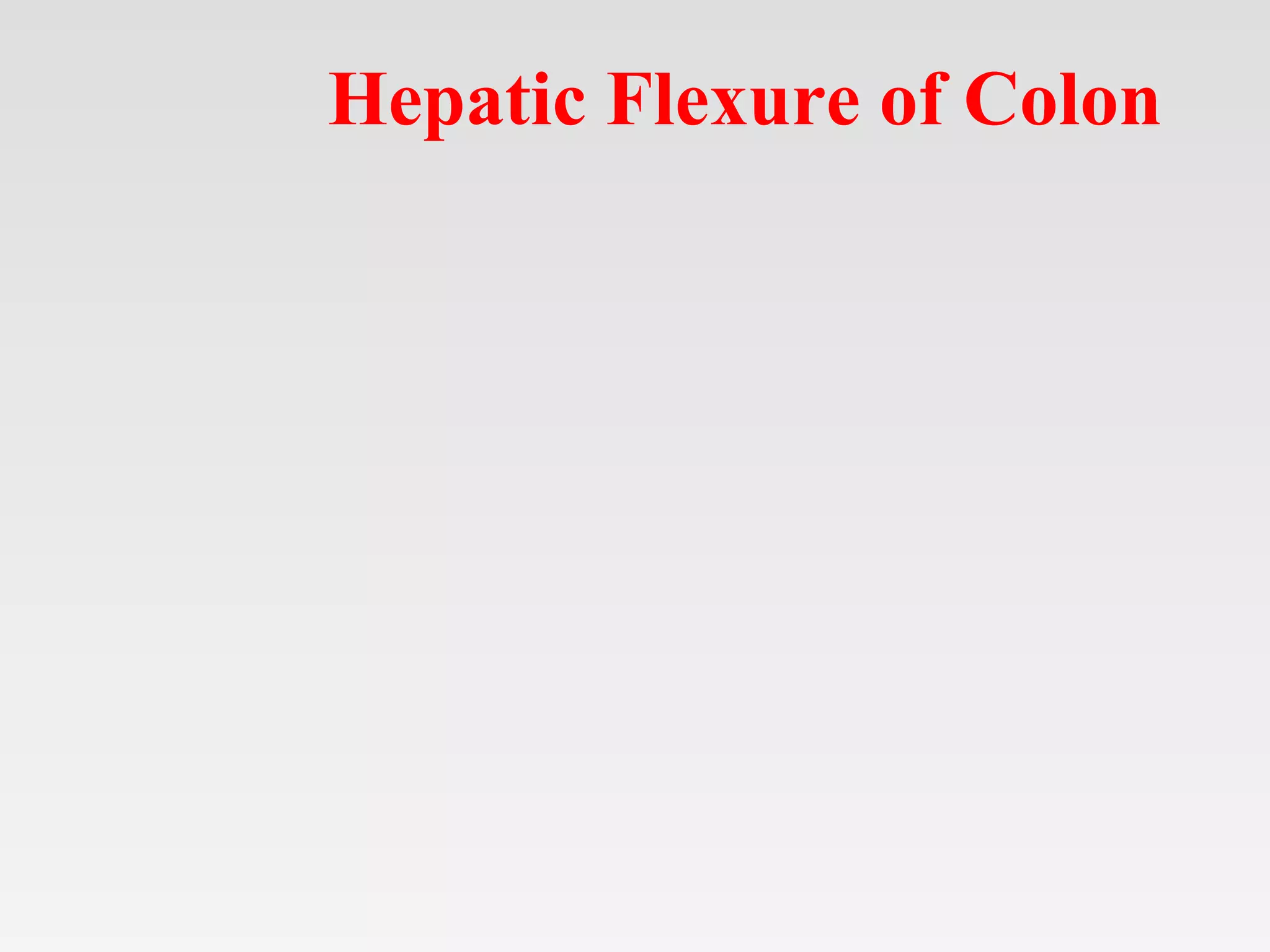 Hepatic Flexure of Colon
 