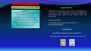 Ενεργοποίηση πρωτοκόλλου βάσει score
Κύκλος 1ος
Αναλαμβάνει συντονισμό ο αρχαιότερος Ιατρός
& γίνεται ανάθεση ρόλων (Α, Β, Γ)
Άμεση κλήση στην Αιμοδοσία
Λήψη βασικών εργαστηριακών εξετάσεων
Αποστολή δειγμάτων προς διασταύρωση
Πραγματοποίηση ή/και point-of-care (POC)
Χορηγούνται 4 μονάδες ΣΕ Ο & 2 μονάδες FFP
Σκέψη για χορήγηση αιμοπεταλίων
Σκέψη για χορήγηση ινωδογόνου
Χορηγούνται αιμοπετάλια ώστε αυτά να διατηρούνται >
50.000/μl, σε κρανιοεγκεφαλικές κακώσεις χορηγούνται
αιμοπετάλια ώστε αυτά να μην πέσουν κάτω από
100.000/μl
Θεραπευτική δόση
6- 8 μονάδες μεμονωμένων αιμοπεταλίων ή
μία μονάδα αφαίρεσης
Κρυοΐζημα ή συμπυκνωμένο ινωδογόνο
Πρωτόκολλο Μαζικής Μετάγγισης
Χορηγούνται όταν το ινωδογόνο πέσει κάτω από 1,5 g/l (1C)
 