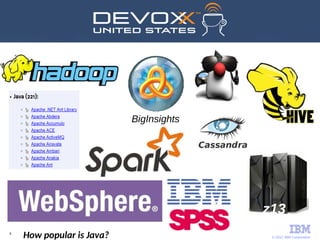 © 2017 IBM Corporation
6
z13
BigInsights
How popular is Java?
 