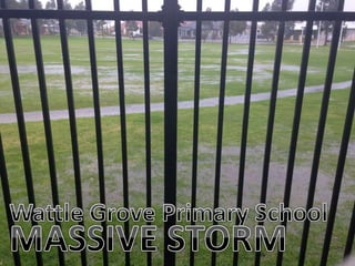 Wattle Grove Primary School - Massive Storm PPT