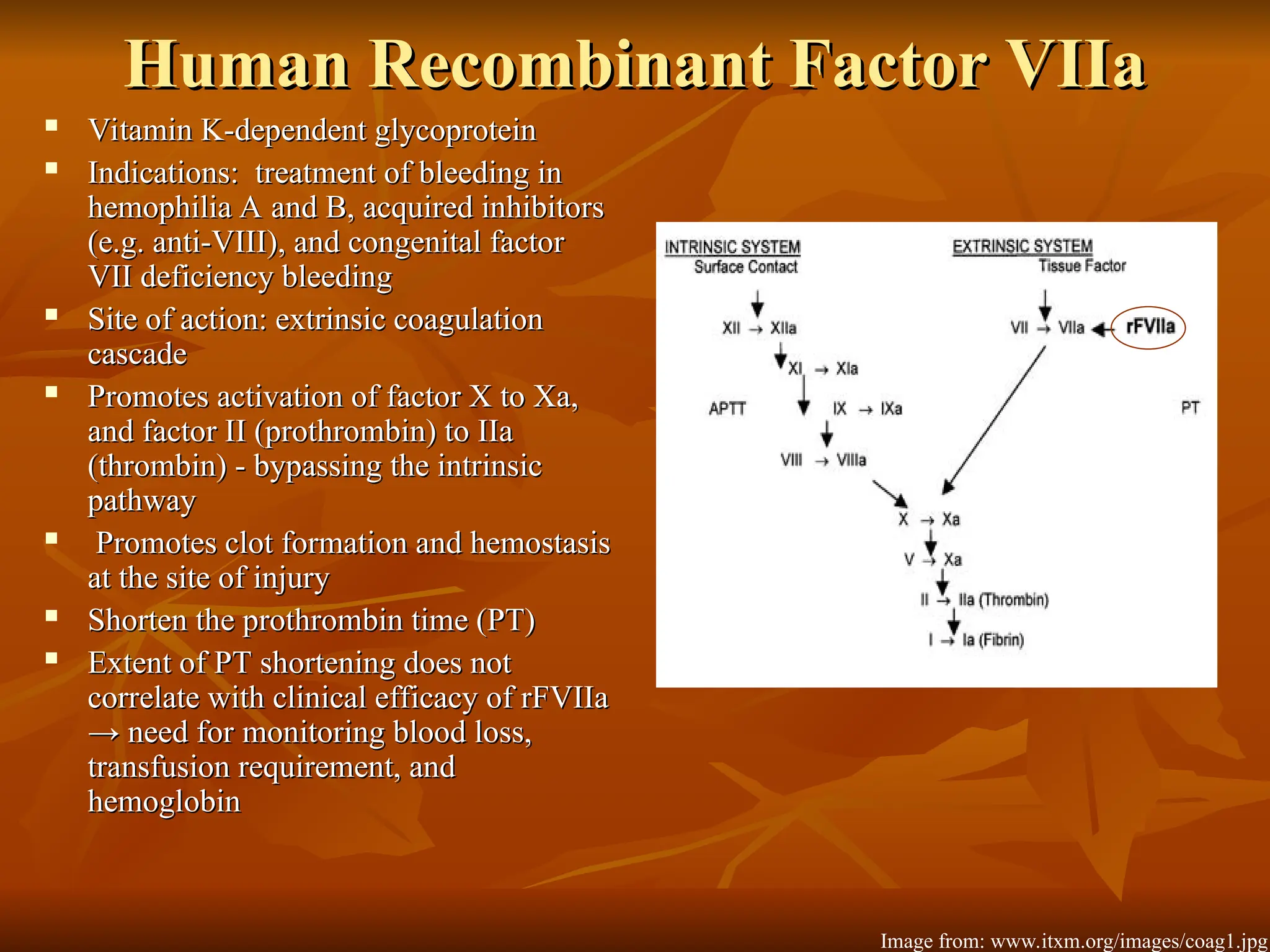 Human Recombinant Factor VIIa
Human Recombinant Factor VIIa
 Vitamin K-dependent glycoprotein
Vitamin K-dependent glycoprotein
 Indications: treatment of bleeding in
Indications: treatment of bleeding in
hemophilia A and B, acquired inhibitors
hemophilia A and B, acquired inhibitors
(e.g. anti-VIII), and congenital factor
(e.g. anti-VIII), and congenital factor
VII deficiency bleeding
VII deficiency bleeding
 Site of action: extrinsic coagulation
Site of action: extrinsic coagulation
cascade
cascade
 Promotes activation of factor X to Xa,
Promotes activation of factor X to Xa,
and factor II (prothrombin) to IIa
and factor II (prothrombin) to IIa
(thrombin) - bypassing the intrinsic
(thrombin) - bypassing the intrinsic
pathway
pathway
 Promotes clot formation and hemostasis
Promotes clot formation and hemostasis
at the site of injury
at the site of injury
 Shorten the prothrombin time (PT)
Shorten the prothrombin time (PT)
 Extent of PT shortening does not
Extent of PT shortening does not
correlate with clinical efficacy of rFVIIa
correlate with clinical efficacy of rFVIIa
→ need for
→ need for monitoring blood loss,
monitoring blood loss,
transfusion requirement, and
transfusion requirement, and
hemoglobin
hemoglobin
Image from: www.itxm.org/images/coag1.jpg
 
